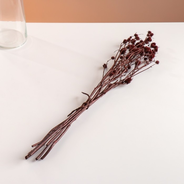 Набор сухоцветов "Эрингиум", банч 5 шт, длина 50 (+/- 6 см), терракотовый