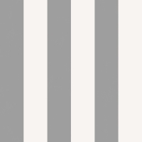 Обои Бумажные "Гомельобои" Техас компаньон 22, 0,53х10,05м