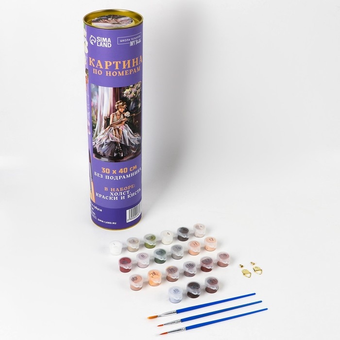 Картина по номерам в тубусе &laquo;Балерина&raquo;, 30 х 40 см