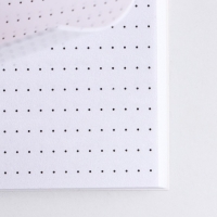 Ежедневник в точку &laquo;Сегодня особенный день&raquo; А5, 64 листа