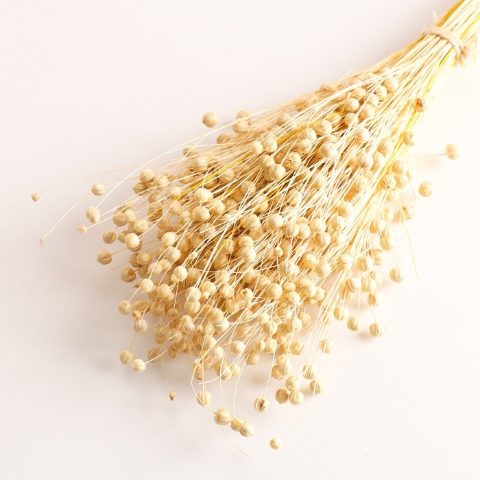 Набор сухоцветов Набор сухоцветов "Лён-долгунец", банч длина 55-60 (+/- 6 см), выбеленный