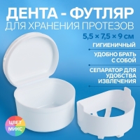 Контейнер для хранения протезов, 5,5 &times; 7,5 &times; 9 см, цвет МИКС