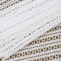 Кружевная эластичная ткань, 190 мм &times; 2,7 &plusmn; 0,5 м, цвет белый