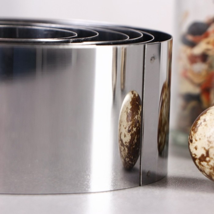 Набор форм для выпечки и выкладки &laquo;Круг&raquo;, d-10, h-5 см, 6 шт