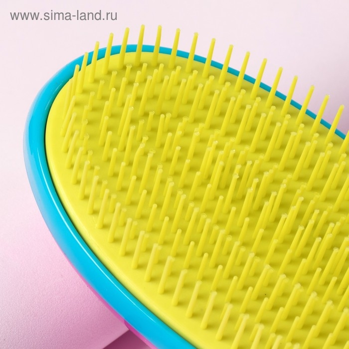 Расчёска массажная, 6,5 × 12 см, PVC коробка, разноцветная Расчёска массажная, 6,5 × 12 см, PVC коробка, разноцветная