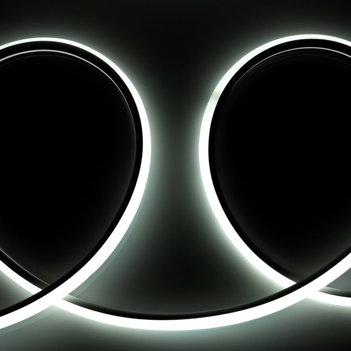 Гибкий неон Luazon Lighting 16 мм D-образный, IP65, 50 м, SMD2835, 120 LED/м, 220 В, свечение белое