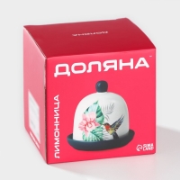 Лимонница Доляна &laquo;Тропики&raquo;, 9&times;9 см, цвет белый