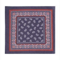 Платки носовые мужские &laquo;Этель&raquo;, размер 30х30 см, (набор 12 шт,) принт МИКС, 100% хлопок