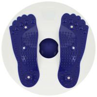 Диск здоровья, с магнитными вставками, d=27 см, цвета МИКС