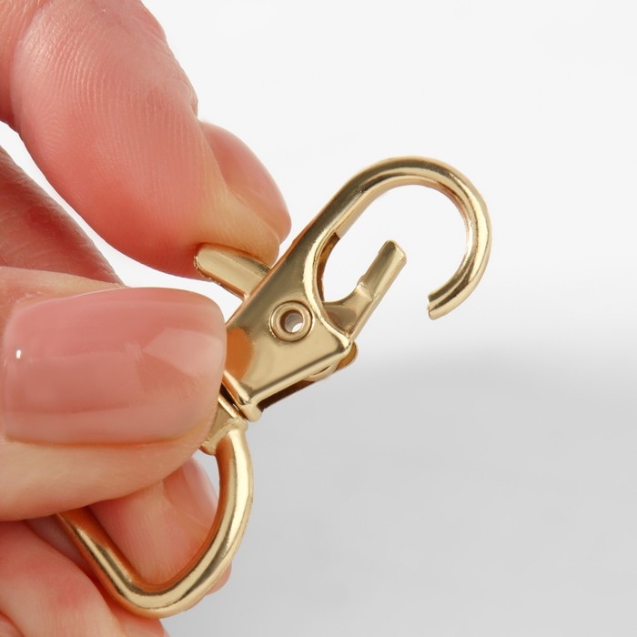 Карабин металлический, 42 &times; 25 мм / 21 &times; 2,1 мм, 5 шт, цвет золотой