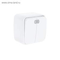 Выключатель TDM "Дача" Народный, 10 А, IP20, 2 клавиши, открытый с подсветкой, белый Выключатель TDM "Дача" Народный, 10 А, IP20, 2 клавиши, открытый с подсветкой, белый