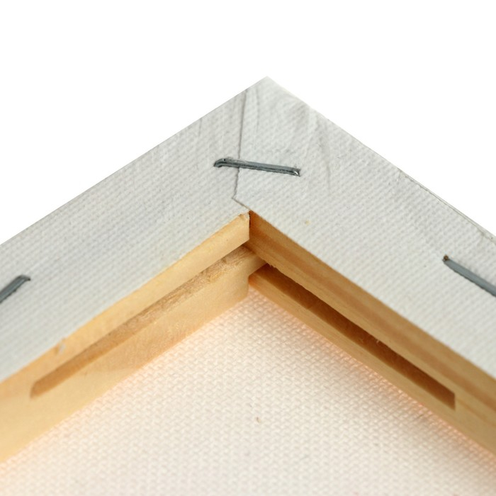 Холст на подрамнике, хлопок 100%, 40 х 50 х 1.8 см, акриловый грунт, мелкозернистый, 280 г/м&sup2;