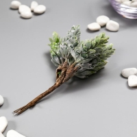 Искусственный суккулент для создания флорариума "Столетник цветной" набор 6 шт 13 см Искусственный суккулент для создания флорариума "Столетник цветной" набор 6 шт 13 см