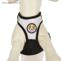 Шлейка регулируемая дышащая, светоотражающая, размер L, (ОГ 44-64 см, ОШ 40-60 см), чёрная Шлейка регулируемая дышащая, светоотражающая, размер L, (ОГ 44-64 см, ОШ 40-60 см), чёрная