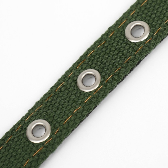 Ошейник брезентовый с подкладом, 52 х 2 см, хаки Ошейник брезентовый с подкладом, 52 х 2 см, хаки