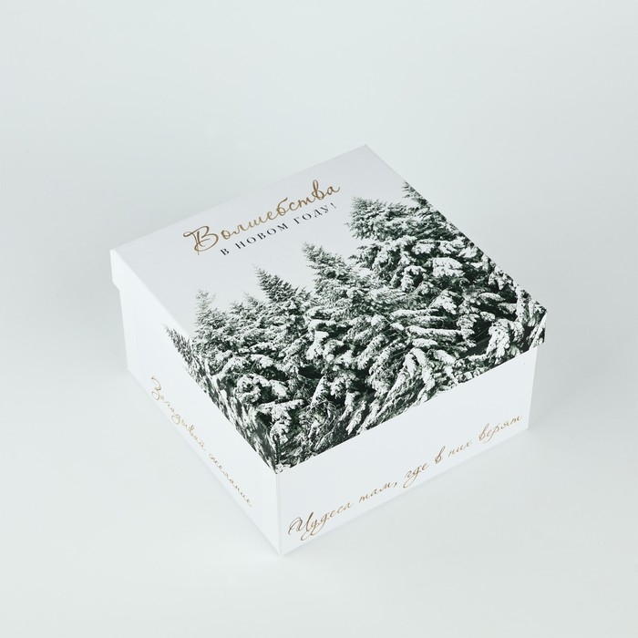 Набор подарочных коробк 5 в 1 &laquo;Снежная зима&raquo;, 14 х 14 х 8&ndash;22 х 22 х12 см, Новый год