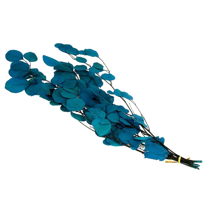 Сухоцвет персикого дерева, 50 г, длина — 70 см, цвет голубой Сухоцвет персикого дерева, 50 г, длина — 70 см, цвет голубой