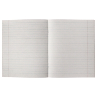 Комплект тетрадей из 5 штук, 48 листов в линию Calligrata "Графика-2", обложка мелованный картон, блок №2, белизна 75% (серые листы)