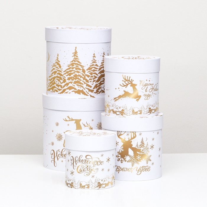 Набор шляпных коробок 5 в 1 "Время чудес", 23 х 23- 15 х 15 см