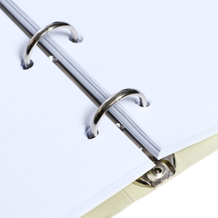 Тетрадь на кольцах, 80 листов в точку "Авокадо и пончик", обложка картон, матовая ламинация Soft Touch, тиснение фольгой, сменный блок 70 г/м2