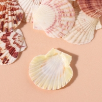 Ракушки природные декоративные "Гребешок" набор 100 гр