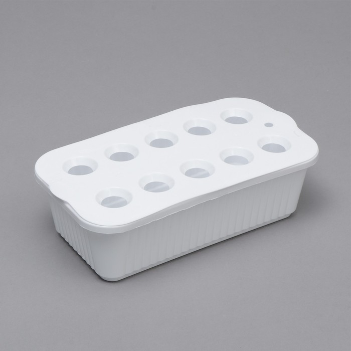 Ящик для выращивания зелёного лука, 29 × 16 × 8,5 см, 2,5 л, 10 лунок, пластик, белый, Greengo Ящик для выращивания зелёного лука, 29 × 16 × 8,5 см, 2,5 л, 10 лунок, пластик, белый, Greengo