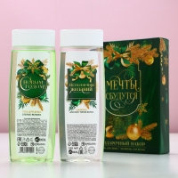 Подарочный набор косметики &laquo;Мечты обязательно сбудутся&raquo;, гель для душа и шампунь для волос, 2 х 250 мл, Новый Год