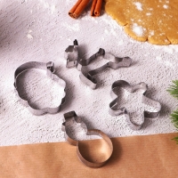 Новый год. Набор форм для печенья &laquo;Зимняя сказка&raquo;, металл, 4 шт