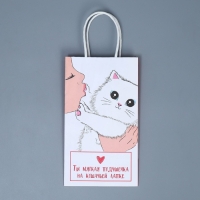 Пакет подарочный крафтовый, упаковка, &laquo;Мягкая моя&raquo;, 12 х 21 х 9 см