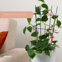 Клипса для растений «Стрекоза», набор 10 шт., МИКС, Greengo Клипса для растений «Стрекоза», набор 10 шт., МИКС, Greengo