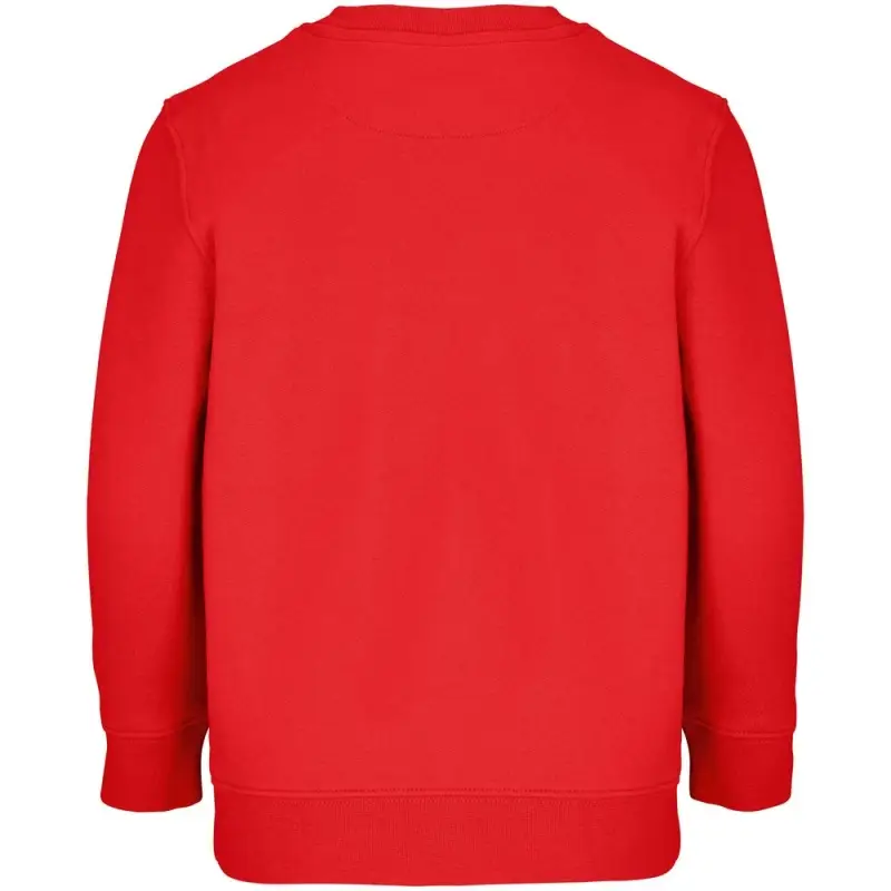 Свитшот детский Columbia Kids, красный, на рост 96-104