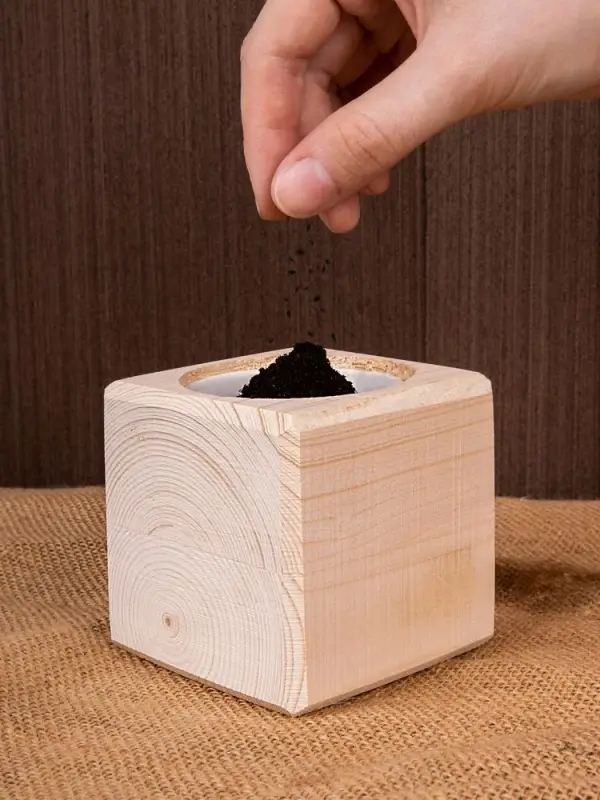 Набор для выращивания &laquo;Экокуб&raquo;, ель голубая