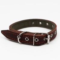 Ошейник комбинированный кожа/брезент, безразмерный, 54 х 2.5 см, ОШ 17-45 см, коричневый Ошейник комбинированный кожа/брезент, безразмерный, 54 х 2.5 см, ОШ 17-45 см, коричневый