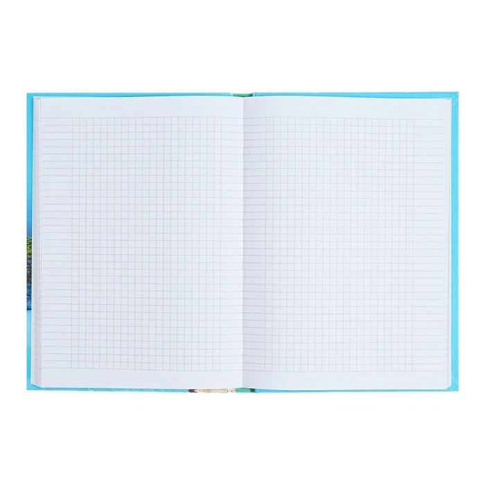 Бизнес-блокнот А5 160 листов в клетку "Остров мечты", твёрдая обложка, глянцевая ламинация, МИКС