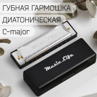 Губная гармошка Music Life, диатоническая, C-major, с футляром, серебристая Губная гармошка Music Life, диатоническая, C-major, с футляром, серебристая