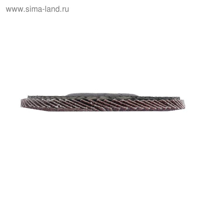 Круг лепестковый торцевой конический ЛОМ, 115 х 22 мм, Р40 Круг лепестковый торцевой конический ЛОМ, 115 х 22 мм, Р40