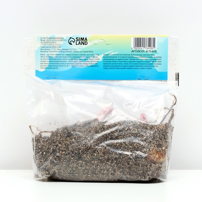 Лилия Восточная Лилия Восточная "Маунт Кук", р-р 12/14, 3 шт,