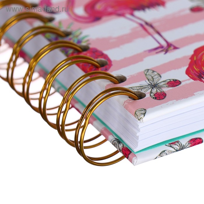 Ежедневник недатированный А5, 120 листов &laquo;Фламинго&raquo;, золотая евроспираль, УФ-лак на обложке