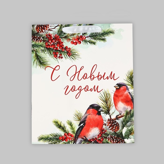 Пакет подарочный новогодний ламинированный &laquo;Снегири&raquo;, ML 23 х 27 х 11.5 см , Новый год