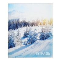 Тетрадь 96 листов в клетку Calligrata "Природа", обложка мелованный картон, блок №2, белизна 75% (серые листы), МИКС Тетрадь 96 листов в клетку Calligrata "Природа", обложка мелованный картон, блок №2, белизна 75% (серые листы), МИКС