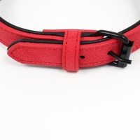 Ошейник с выносным кольцом "Мона", 42 х 2 см, алый Ошейник с выносным кольцом "Мона", 42 х 2 см, алый