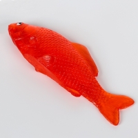 Липучка &laquo;Рыбка&raquo;, цвета МИКС