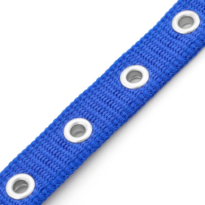 Ошейник "Комфорт" комбинированный (полиэстер, искусств. кожа), 45 х 2 см, ОШ 30-39 см, синий