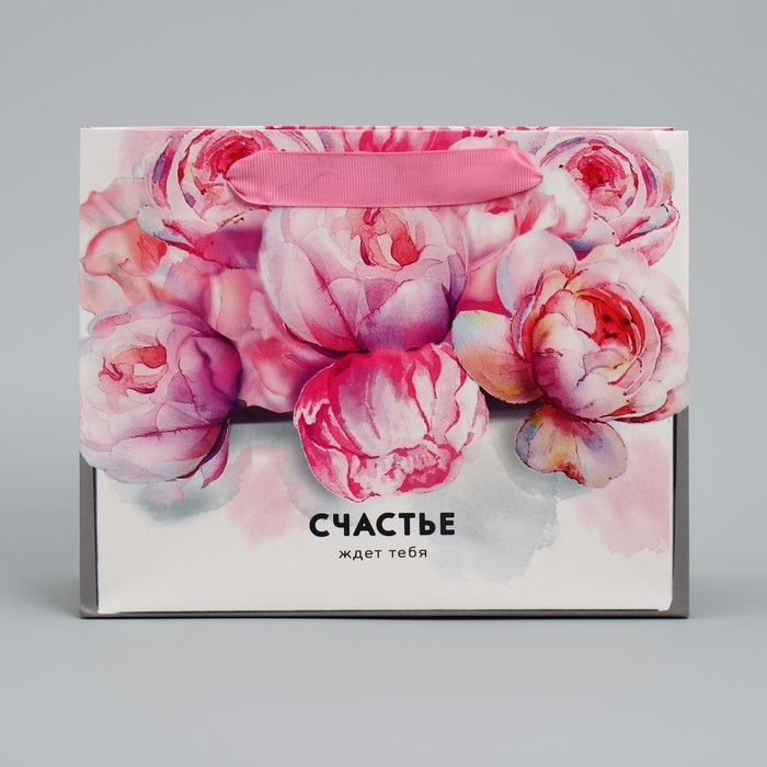 Пакет подарочный ламинированный горизонтальный, упаковка, &laquo;Счастье ждёт тебя&raquo; 22 х 17,5 х 8 см