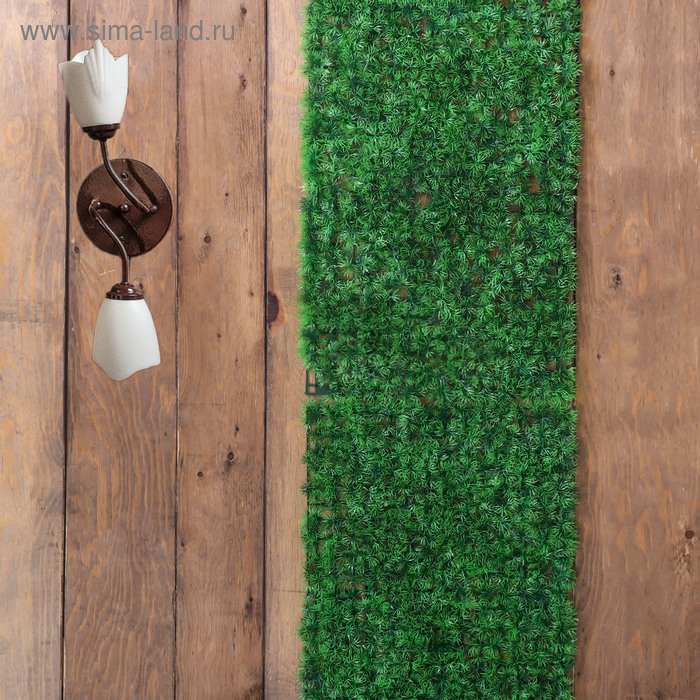 Декоративная панель, 60 &times; 40 см, &laquo;Аспарагус&raquo;, Greengo