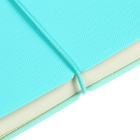 Ежедневник недатированный A5 136 листов, deVENTE. Jane, мягкая обложка пвх, резинка, перфорация, ляссе, блок 70, бирюзовый