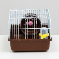 Клетка для грызунов "Пижон", 27 х 21 х 17 см, коричневая Клетка для грызунов "Пижон", 27 х 21 х 17 см, коричневая