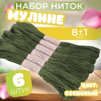 Набор ниток мулине №3363, 8 &plusmn; 1 м, 6 шт, цвет сосновый