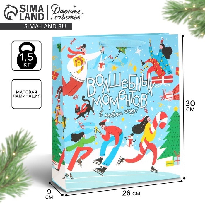 Пакет подарочный новогодний ламинированный &laquo;Зимний каток&raquo;, M 26 х 30 х 9 см, Новый год