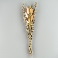 Сухоцветы «Мечта», набор из 4 видов, 48 × 16 × 6 см Сухоцветы «Мечта», набор из 4 видов, 48 × 16 × 6 см